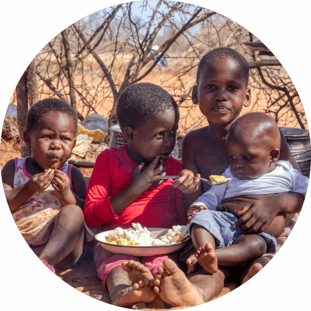 Solar Cooking International promoting clean, renewable cooking solutions worldwide